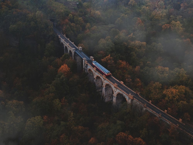 Picture of TRAIN CROSSING A BRIDGE