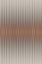 Picture of EUPHORIA - GRAY AND ORANGE