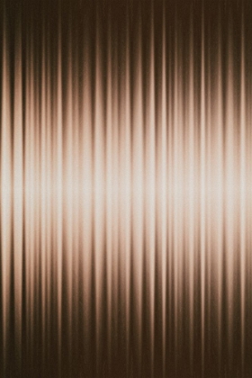 Picture of EUPHORIA - BROWN AND WHITE