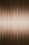 Picture of EUPHORIA - BROWN AND WHITE