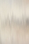 Picture of CLEAN SYMPHONY 2