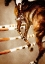 Picture of HORSE RIDING SPORT ART (5)