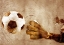 Picture of FOOTBALL SOCCER SPORT ART 4