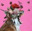 Picture of SPRING FLOWER BONNET ON CAT