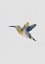 Picture of BLUE A YELLOW HUMMINGBIRD I