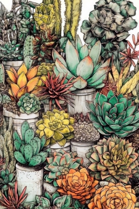 Picture of SUCCULENTS AND CACTUS 12