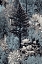 Picture of FOREST 4