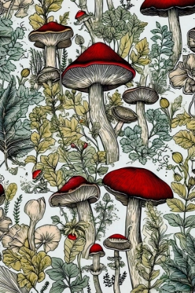 Picture of MUSHROOMS 2