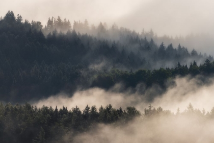 Picture of MOUNTAIN MORNING