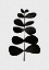 Picture of BOTANICAL II