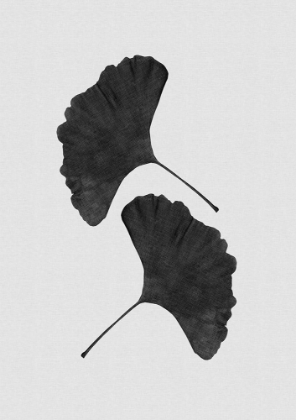 Picture of GINKGO LEAF BLACK A WHITE II