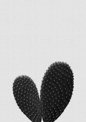 Picture of HEART CACTUS BLACK A WHITE