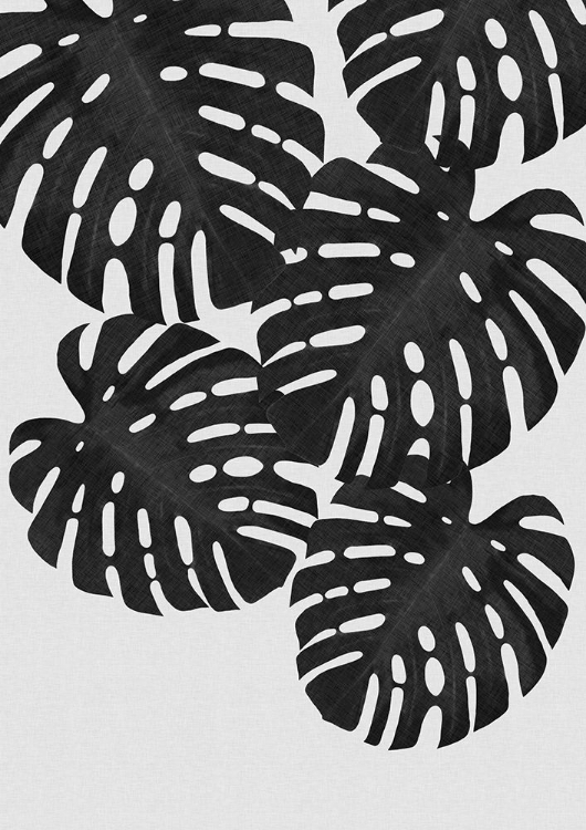 Picture of MONSTERA LEAF BLACK A WHITE I