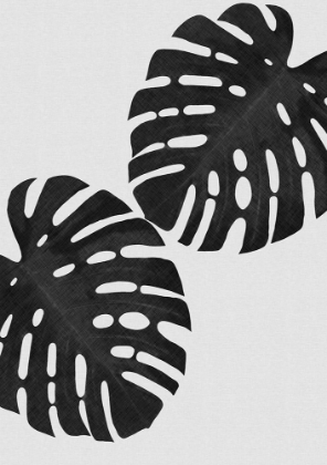 Picture of MONSTERA LEAF BLACK A WHITE II
