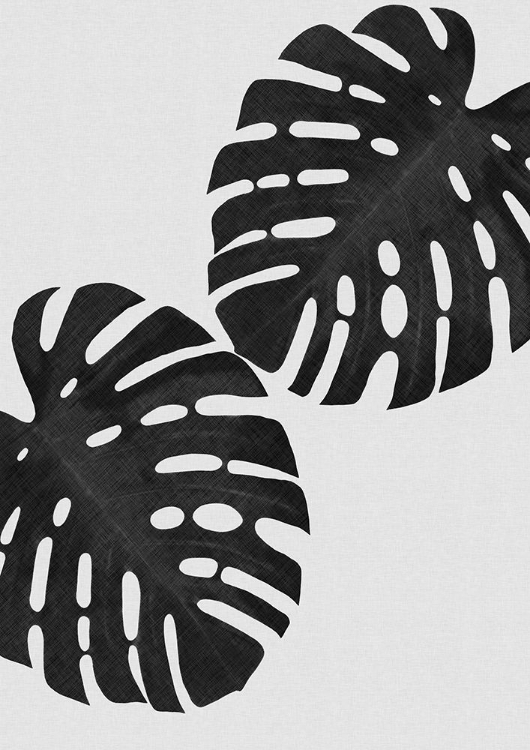 Picture of MONSTERA LEAF BLACK A WHITE II