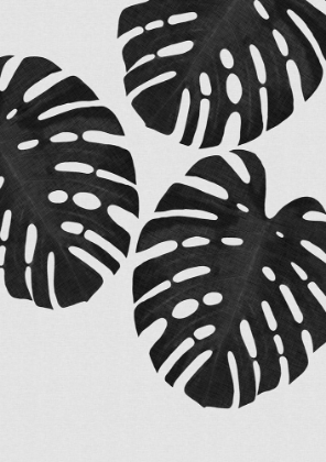 Picture of MONSTERA LEAF BLACK A WHITE III