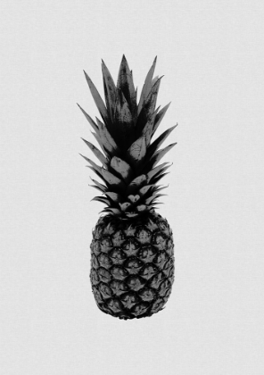 Picture of PINEAPPLE BLACK A WHITE