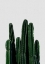 Picture of CACTUS I