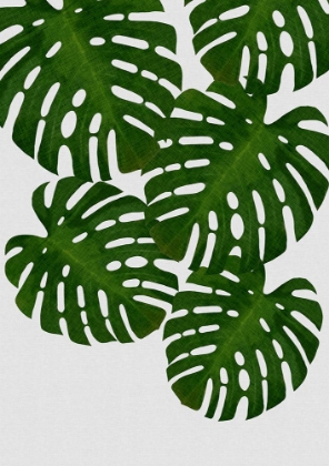 Picture of MONSTERA LEAF I
