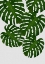 Picture of MONSTERA LEAF I