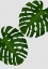 Picture of MONSTERA LEAF II