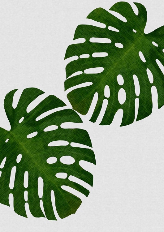 Picture of MONSTERA LEAF II