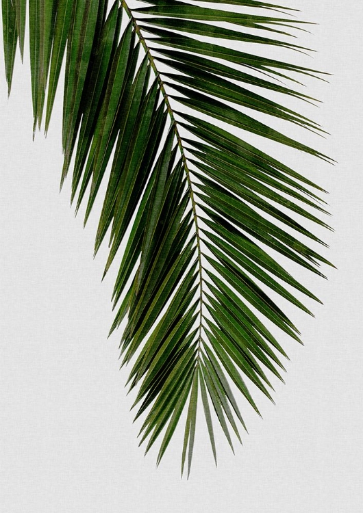 Picture of PALM LEAF I