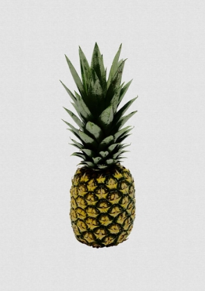 Picture of PINEAPPLE