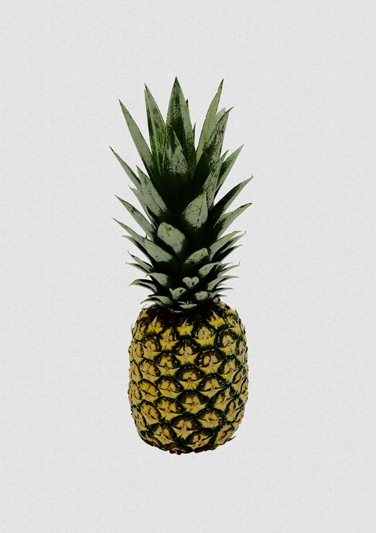 Picture of PINEAPPLE