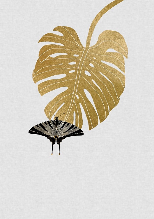 Picture of BUTTERFLY A MONSTERA LEAF