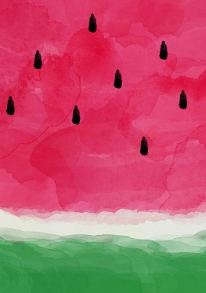 Picture of WATERMELON ABSTRACT A0