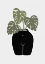 Picture of BODY TANICAL VASE