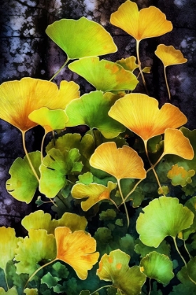 Picture of GINKO BILOBA LEAVES 8