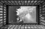 Picture of SKY