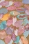 Picture of PETALS