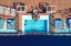 Picture of PHOTOSESSION IN THE POOL