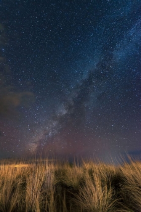 Picture of A WINDY NIGHT