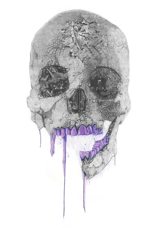 Picture of SKULL