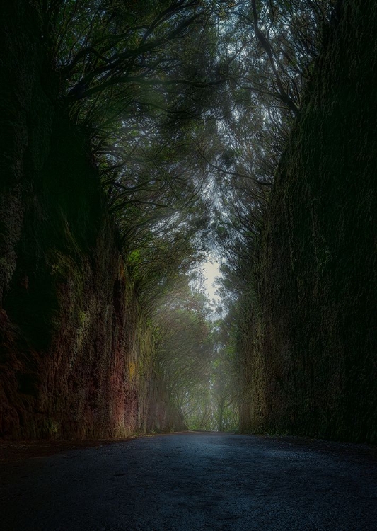 Picture of MYSTERIOUS ROAD