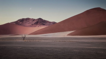 Picture of SAND DUNE IN NAMIBIA