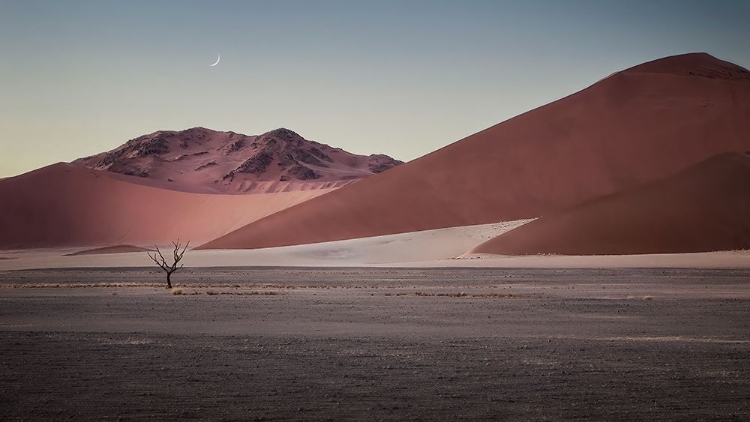 Picture of SAND DUNE IN NAMIBIA