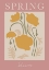 Picture of SPRINGBLOOMS RATIOISO
