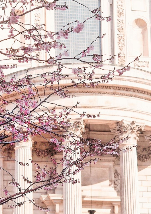 Picture of LONDON BLOSSOM