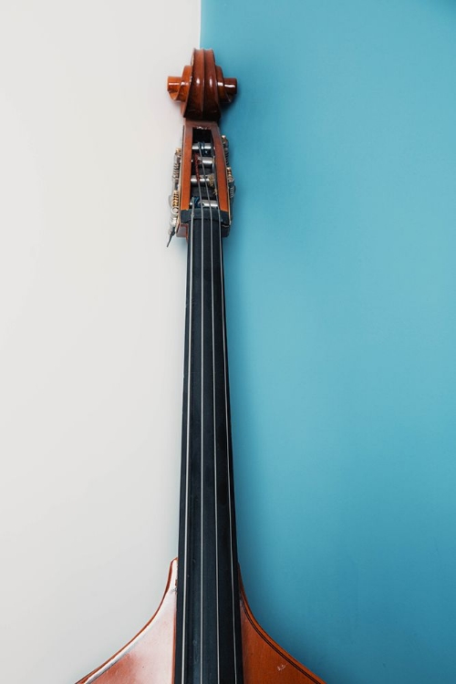 Picture of VIOLIN