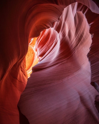 Picture of BEAUTY OF THE NAVAJO CANYON