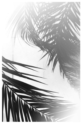 Picture of SUMMER PALMS