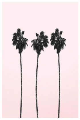 Picture of PINKY PALMS