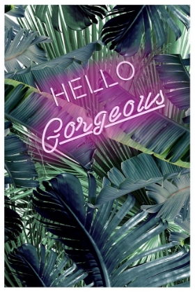 Picture of HELLO GORGEOUS