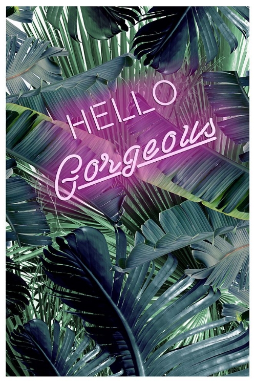 Picture of HELLO GORGEOUS