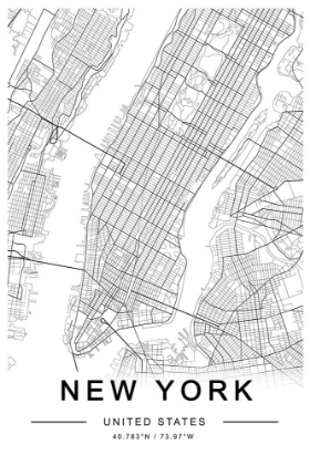 Picture of NEW YORK  MAP